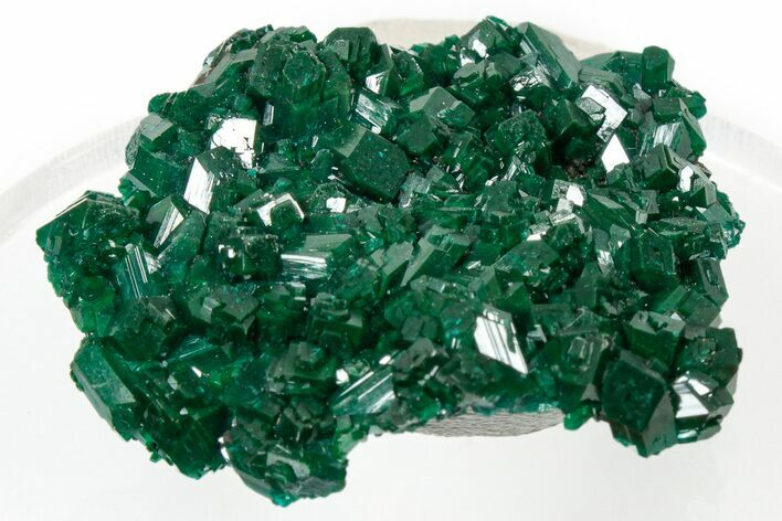 Lustrous Dioptase Crystal Epimorph - Congo #303831